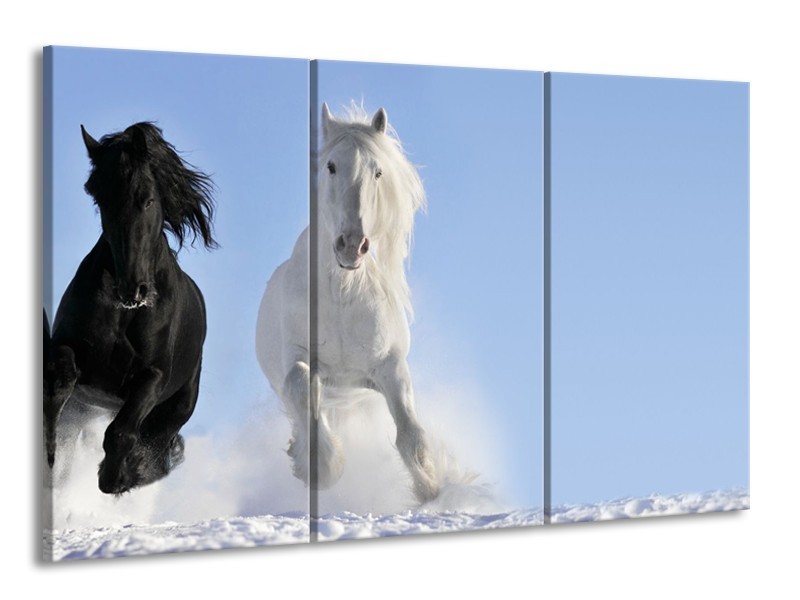 Canvas Schilderij Paard, Dieren | Blauw, Zwart, Wit | 165x100cm 3Luik
