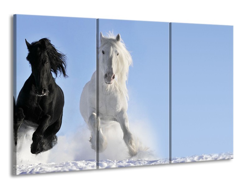 Glasschilderij Paard, Dieren | Blauw, Zwart, Wit | 165x100cm 3Luik