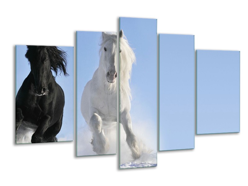 Canvas Schilderij Paard, Dieren | Blauw, Zwart, Wit | 170x100cm 5Luik