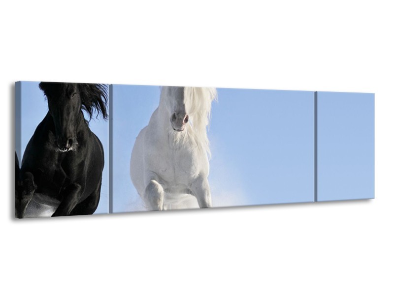 Canvas Schilderij Paard, Dieren | Blauw, Zwart, Wit | 170x50cm 3Luik