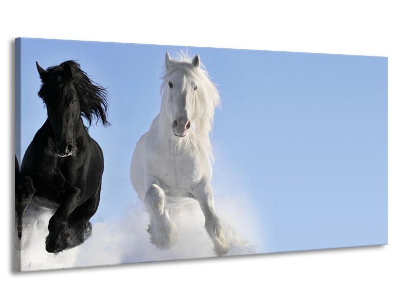 Canvas Schilderij Paard, Dieren | Blauw, Zwart, Wit | 170x90cm 1Luik