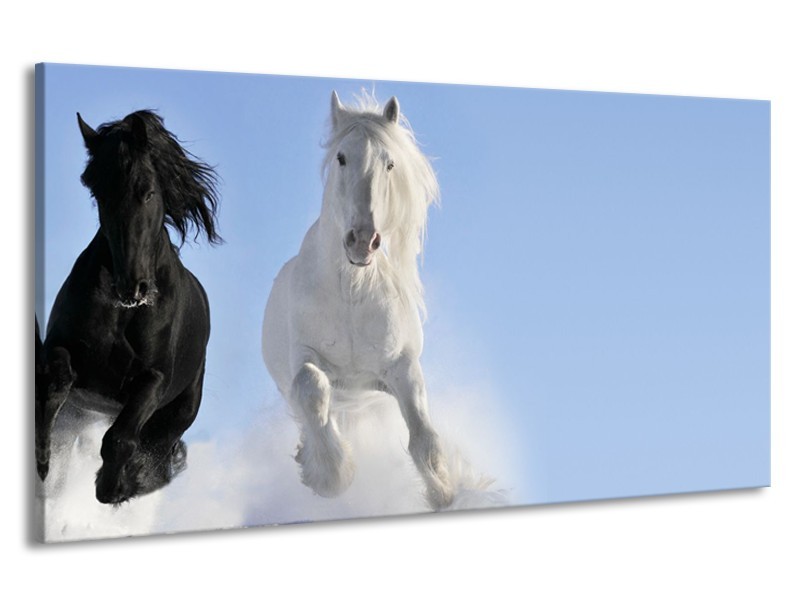Canvas Schilderij Paard, Dieren | Blauw, Zwart, Wit | 190x100cm 1Luik
