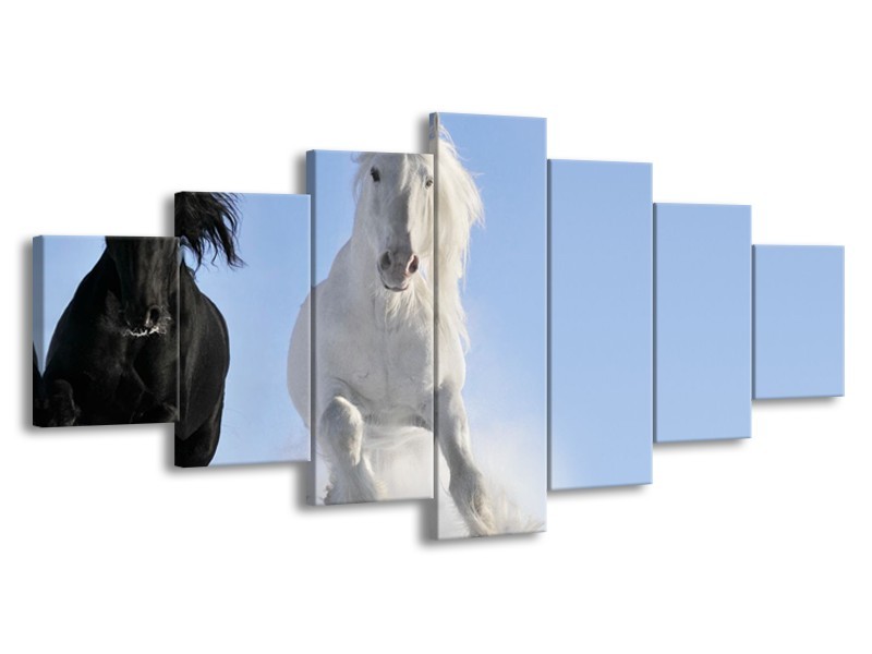 Glasschilderij Paard, Dieren | Blauw, Zwart, Wit | 210x100cm 7Luik