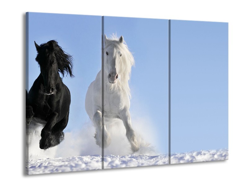 Canvas Schilderij Paard, Dieren | Blauw, Zwart, Wit | 60x90cm 3Luik