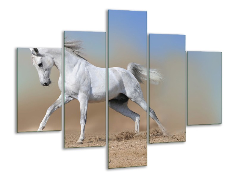 Canvas Schilderij Paard, Dieren | Crème, Blauw, Wit | 100x70cm 5Luik
