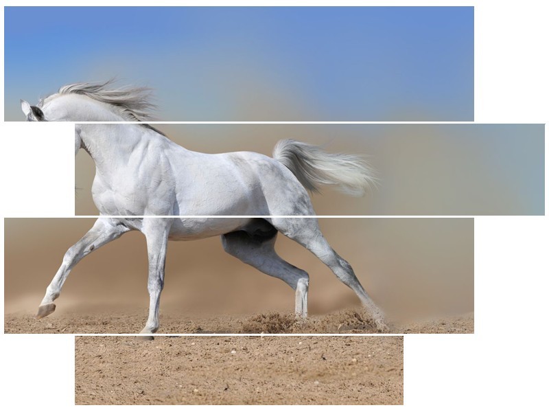 Glasschilderij Paard, Dieren | Crème , Blauw, Wit | 115x85cm 4Luik