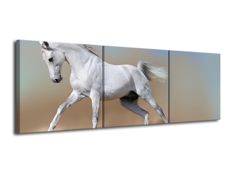 Canvas Schilderij Paard, Dieren | Crème, Blauw, Wit | 120x40cm 3Luik