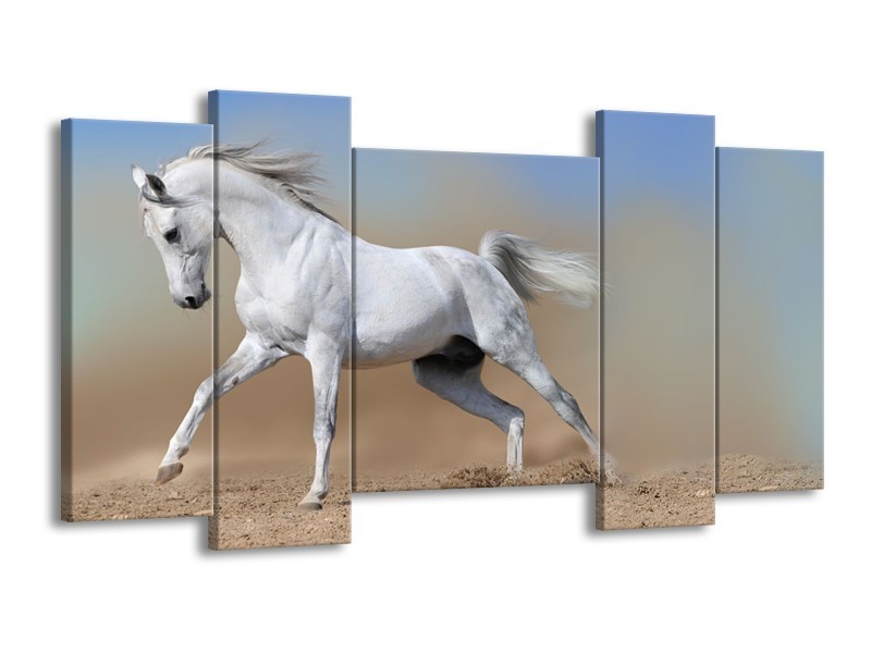 Glasschilderij Paard, Dieren | Crème , Blauw, Wit | 120x65cm 5Luik