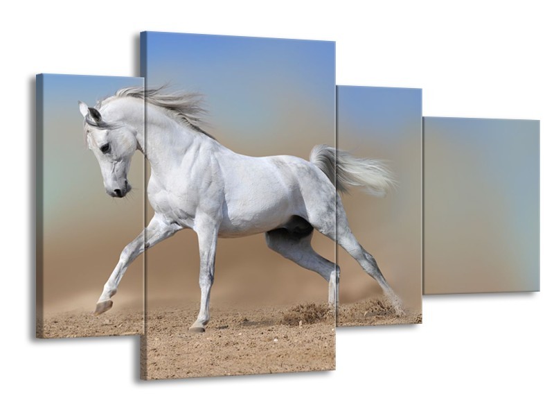 Canvas Schilderij Paard, Dieren | Crème, Blauw, Wit | 120x75cm 4Luik