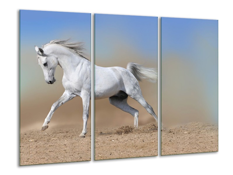 Glasschilderij Paard, Dieren | Crème , Blauw, Wit | 120x80cm 3Luik