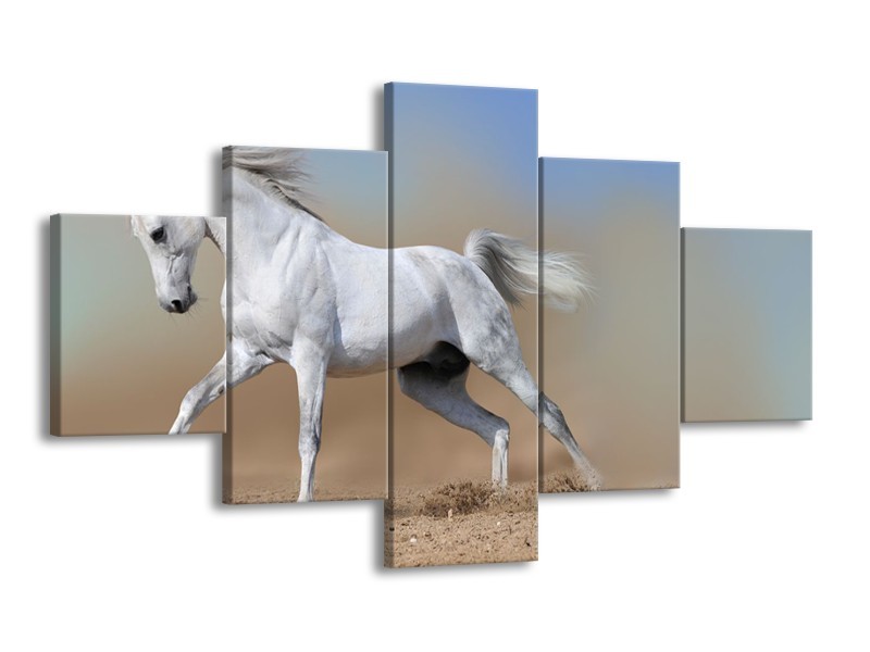 Canvas Schilderij Paard, Dieren | Crème, Blauw, Wit | 125x70cm 5Luik