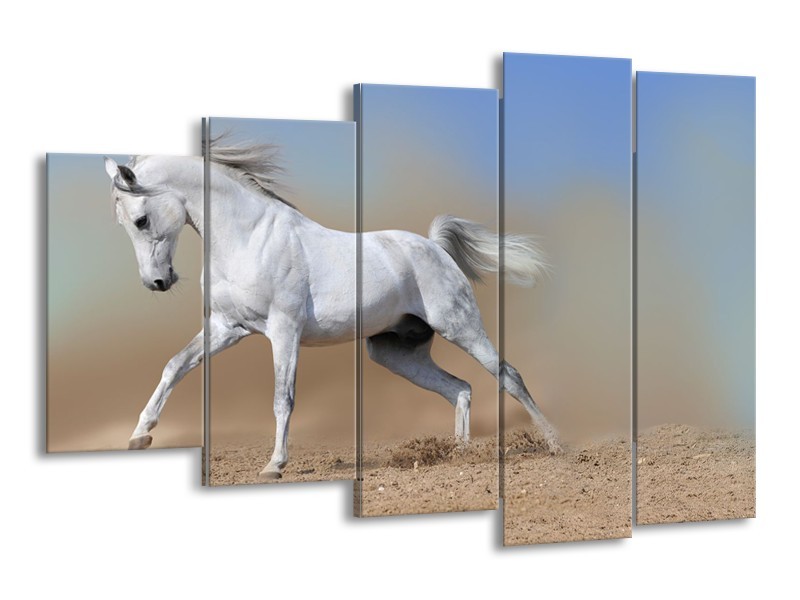 Canvas Schilderij Paard, Dieren | Crème, Blauw, Wit | 150x100cm 5Luik