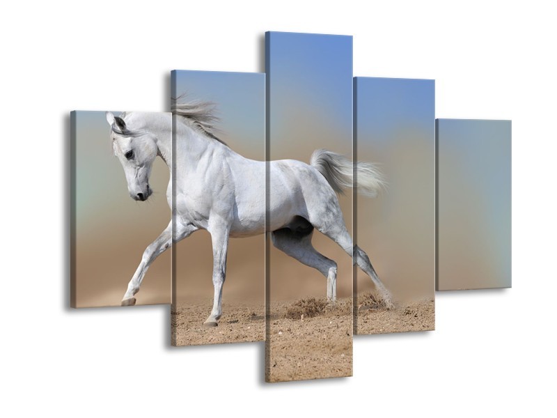 Canvas Schilderij Paard, Dieren | Crème, Blauw, Wit | 150x105cm 5Luik