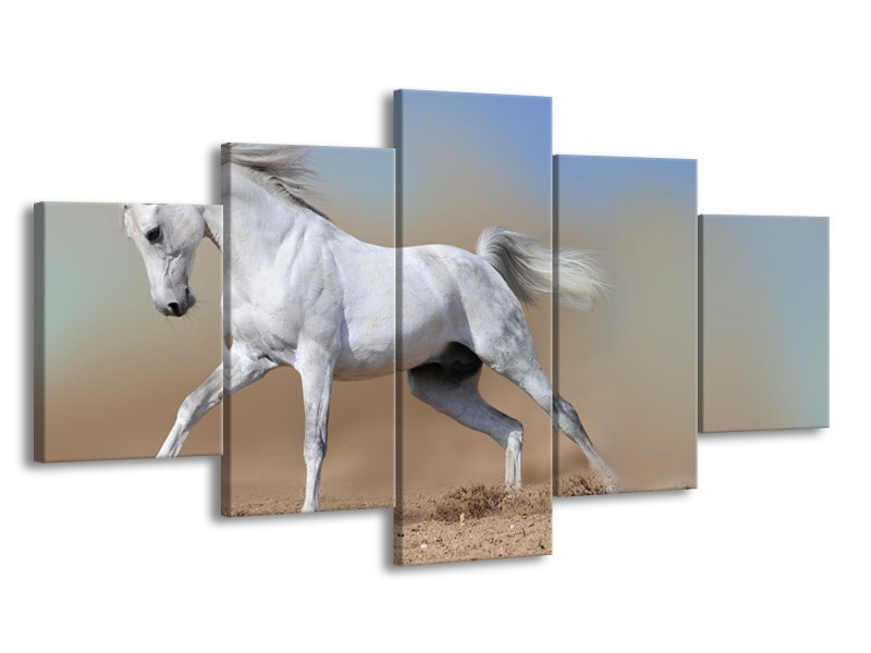 Canvas Schilderij Paard, Dieren | Crème, Blauw, Wit | 150x80cm 5Luik