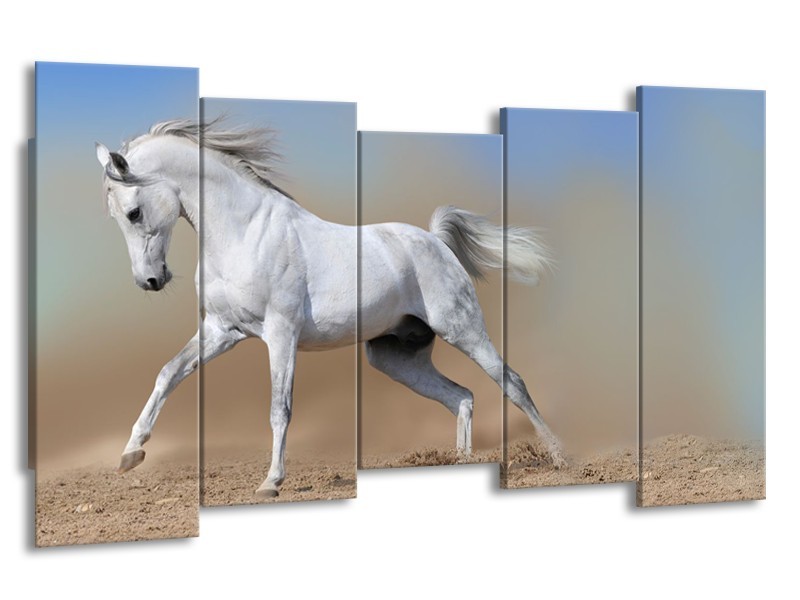 Canvas Schilderij Paard, Dieren | Crème, Blauw, Wit | 150x80cm 5Luik