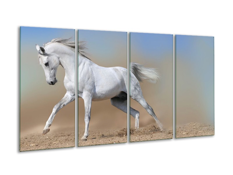 Glasschilderij Paard, Dieren | Crème , Blauw, Wit | 160x80cm 4Luik