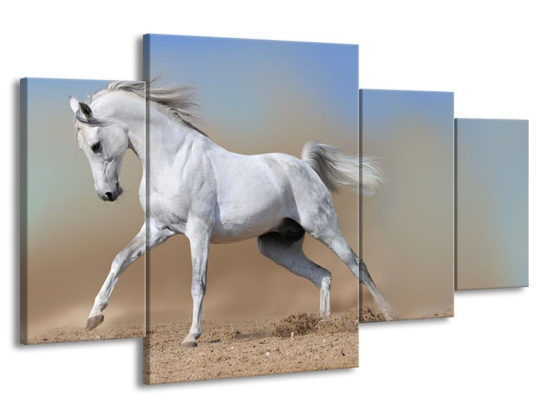 Canvas Schilderij Paard, Dieren | Crème, Blauw, Wit | 160x90cm 4Luik
