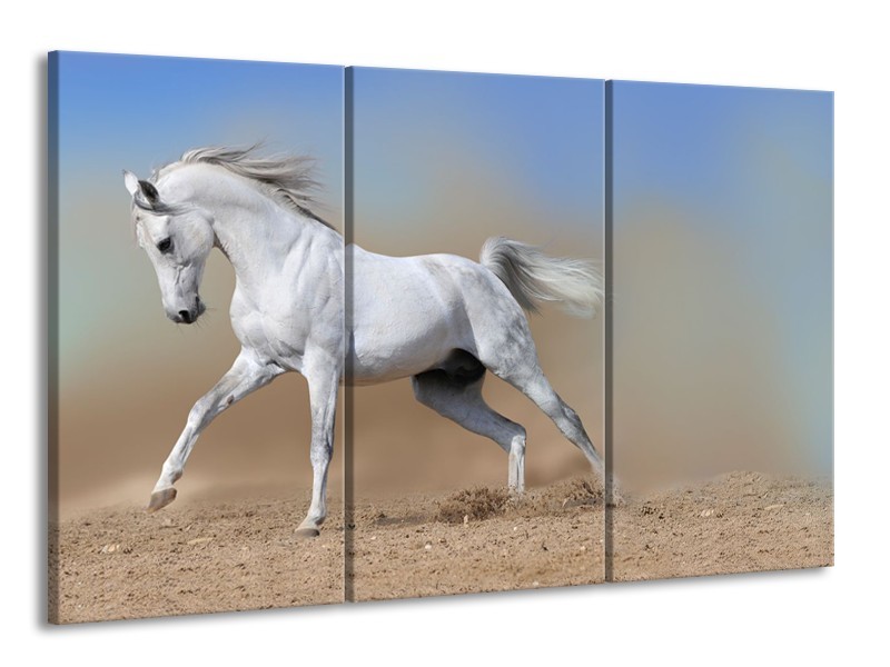 Canvas Schilderij Paard, Dieren | Crème, Blauw, Wit | 165x100cm 3Luik