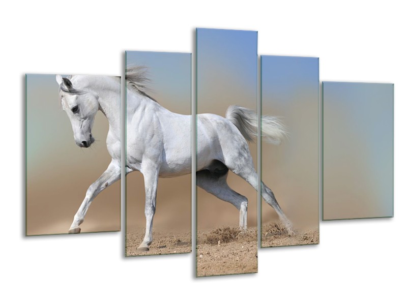 Canvas Schilderij Paard, Dieren | Crème, Blauw, Wit | 170x100cm 5Luik