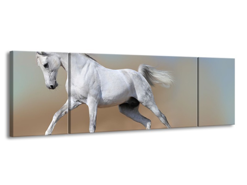 Canvas Schilderij Paard, Dieren | Crème, Blauw, Wit | 170x50cm 3Luik