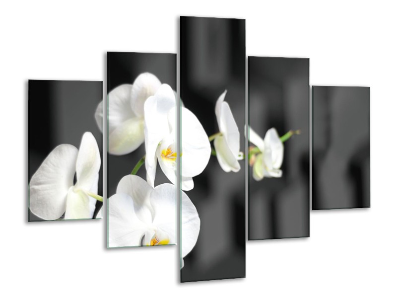 Canvas Schilderij Orchidee, Bloemen | Zwart, Wit | 100x70cm 5Luik