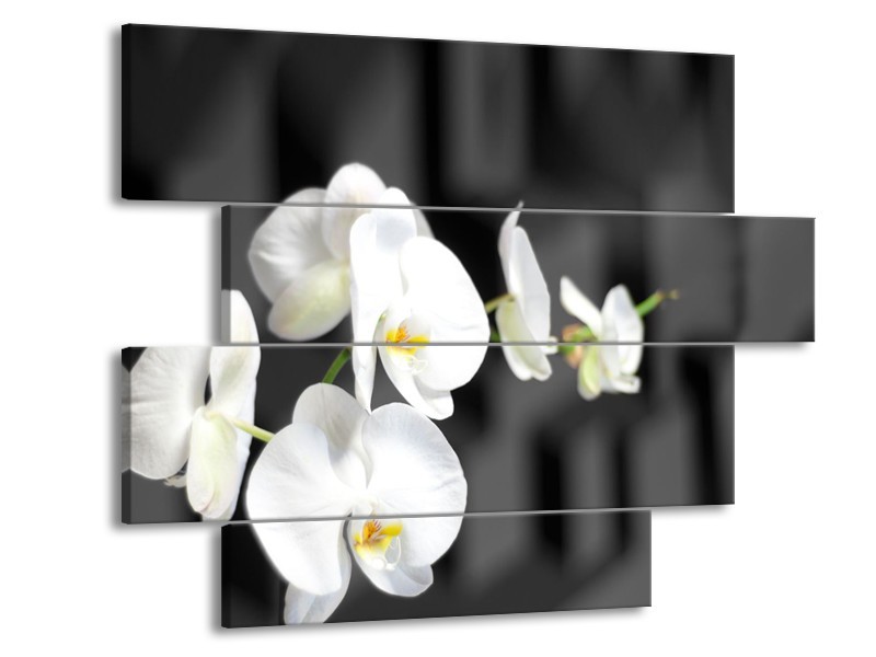 Canvas Schilderij Orchidee, Bloemen | Zwart, Wit | 115x85cm 4Luik
