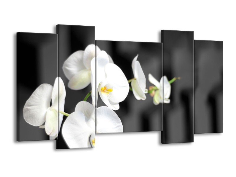 Glasschilderij Orchidee, Bloemen | Zwart, Wit | 120x65cm 5Luik