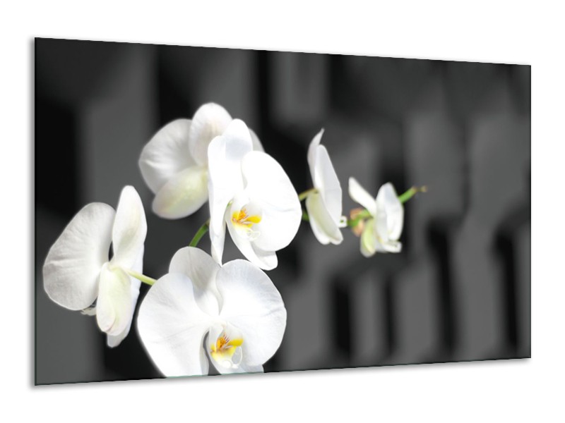 Canvas Schilderij Orchidee, Bloemen | Zwart, Wit | 120x70cm 1Luik