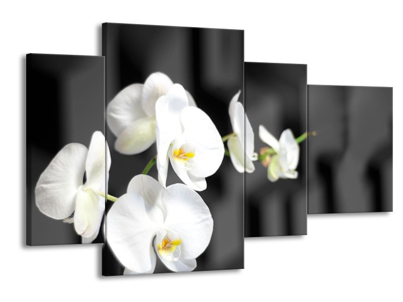 Canvas Schilderij Orchidee, Bloemen | Zwart, Wit | 120x75cm 4Luik