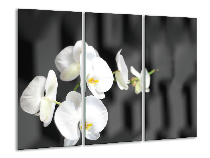 Glasschilderij Orchidee, Bloemen | Zwart, Wit | 120x80cm 3Luik