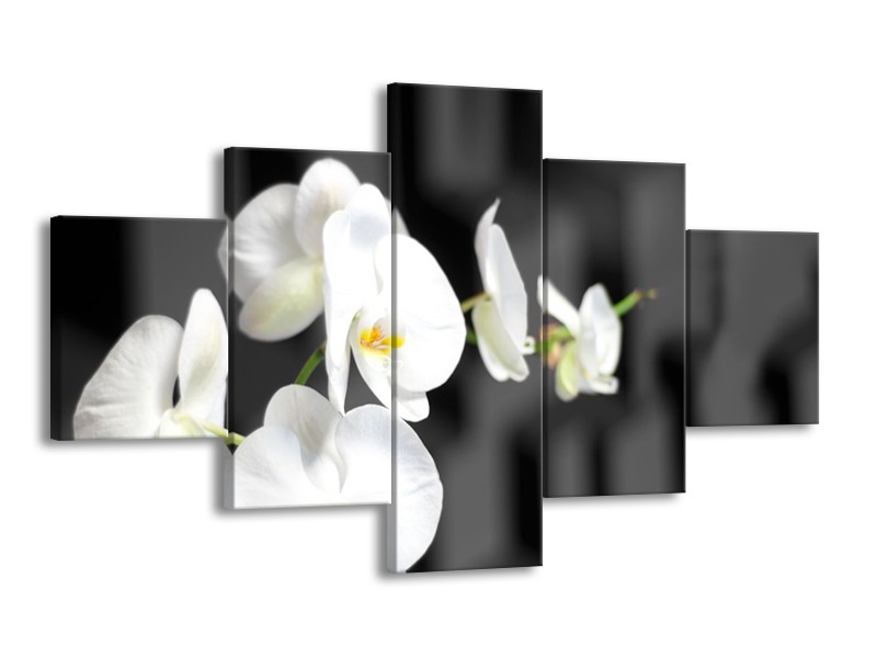 Canvas Schilderij Orchidee, Bloemen | Zwart, Wit | 125x70cm 5Luik