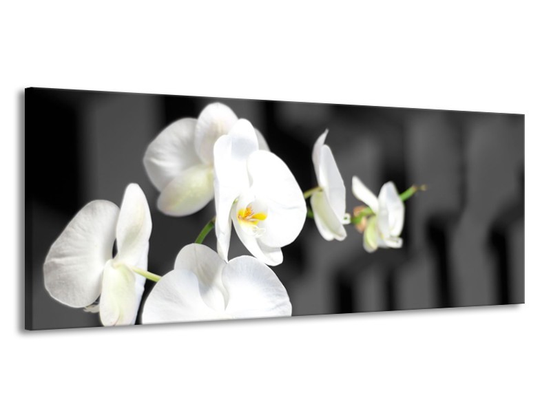 Canvas Schilderij Orchidee, Bloemen | Zwart, Wit | 145x58cm 1Luik