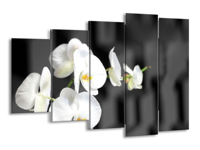 Canvas Schilderij Orchidee, Bloemen | Zwart, Wit | 150x100cm 5Luik
