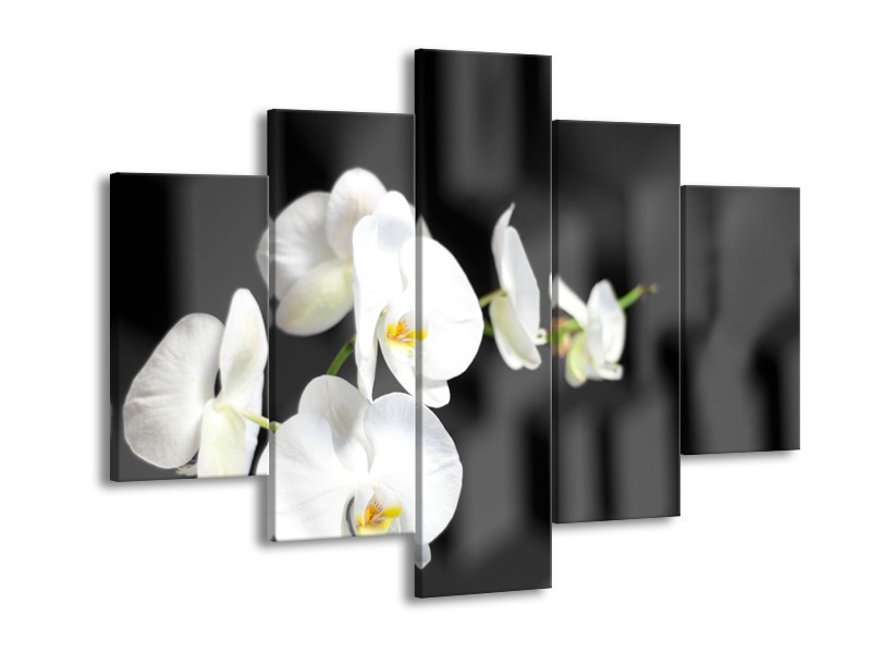 Canvas Schilderij Orchidee, Bloemen | Zwart, Wit | 150x105cm 5Luik