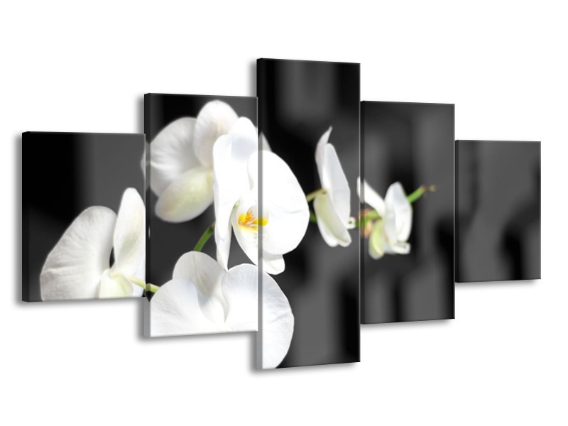 Canvas Schilderij Orchidee, Bloemen | Zwart, Wit | 150x80cm 5Luik