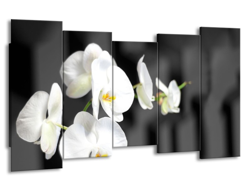 Glasschilderij Orchidee, Bloemen | Zwart, Wit | 150x80cm 5Luik