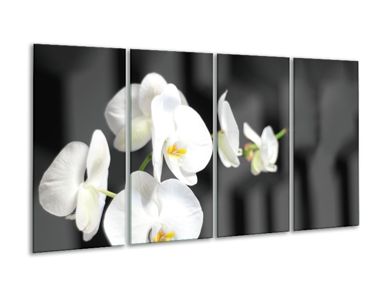 Canvas Schilderij Orchidee, Bloemen | Zwart, Wit | 160x80cm 4Luik