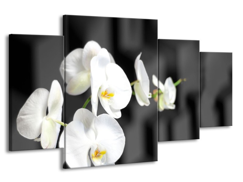 Canvas Schilderij Orchidee, Bloemen | Zwart, Wit | 160x90cm 4Luik