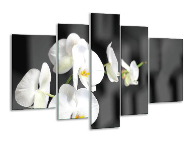 Canvas Schilderij Orchidee, Bloemen | Zwart, Wit | 170x100cm 5Luik