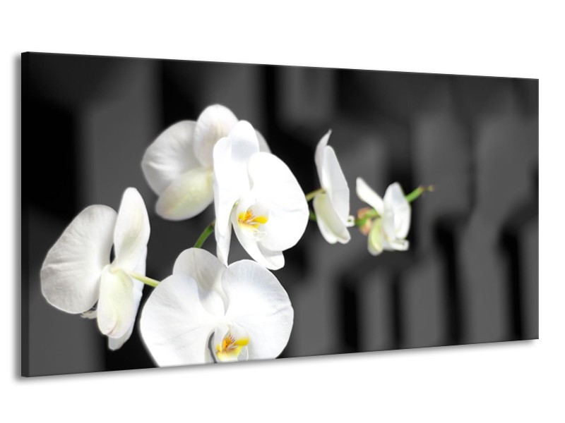 Canvas Schilderij Orchidee, Bloemen | Zwart, Wit | 170x90cm 1Luik