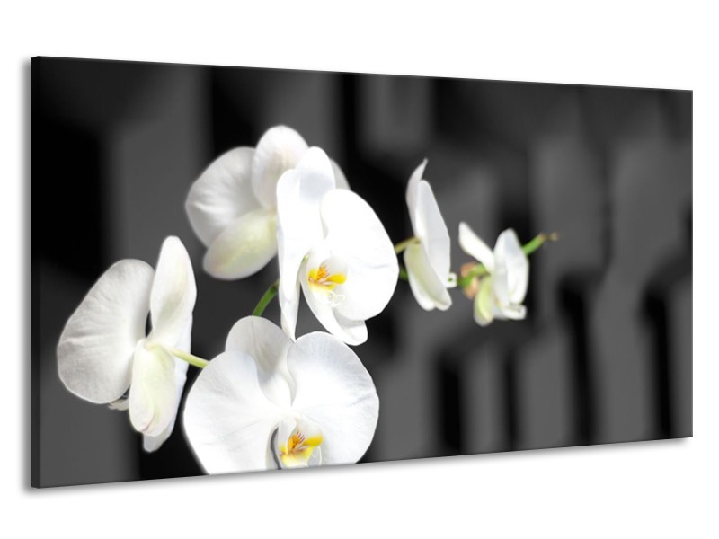 Canvas Schilderij Orchidee, Bloemen | Zwart, Wit | 190x100cm 1Luik