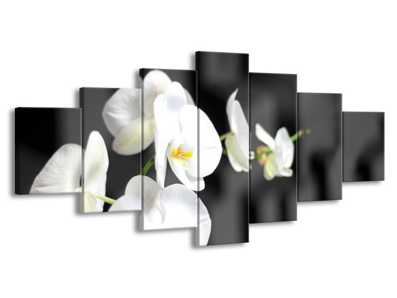 Canvas Schilderij Orchidee, Bloemen | Zwart, Wit | 210x100cm 7Luik