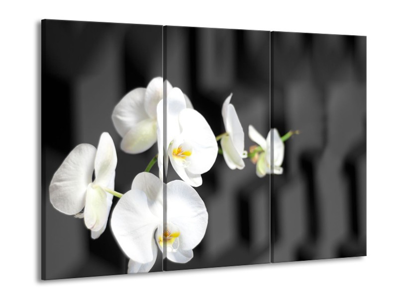 Canvas Schilderij Orchidee, Bloemen | Zwart, Wit | 60x90cm 3Luik