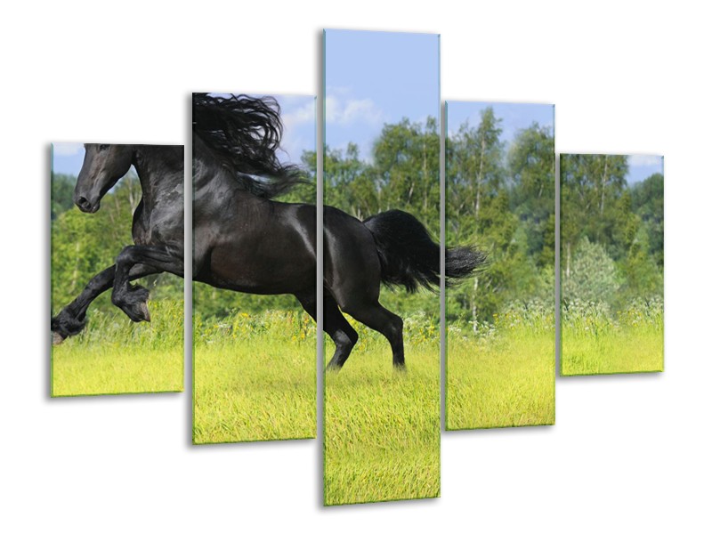 Canvas Schilderij Paard, Dieren | Zwart, Groen | 100x70cm 5Luik