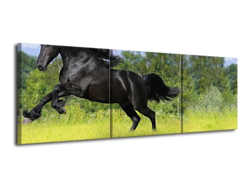 Canvas Schilderij Paard, Dieren | Zwart, Groen | 120x40cm 3Luik