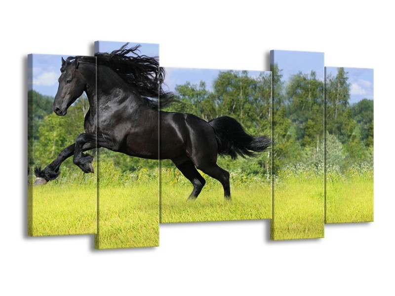 Canvas Schilderij Paard, Dieren | Zwart, Groen | 120x65cm 5Luik