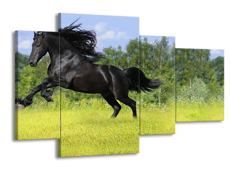 Canvas Schilderij Paard, Dieren | Zwart, Groen | 120x75cm 4Luik