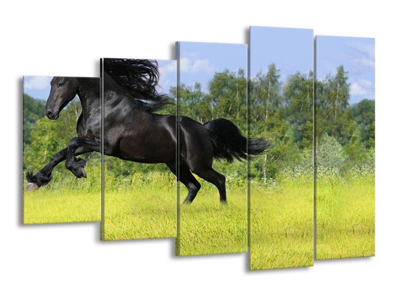Canvas Schilderij Paard, Dieren | Zwart, Groen | 150x100cm 5Luik