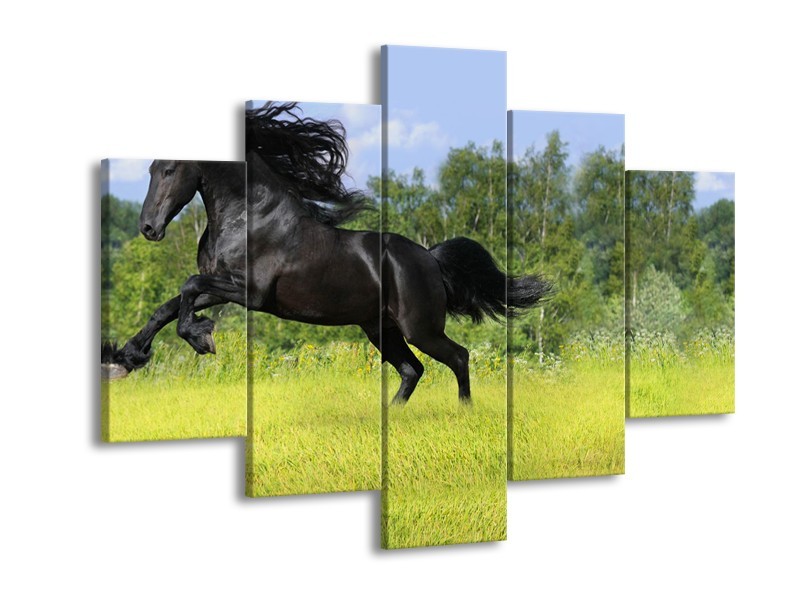 Canvas Schilderij Paard, Dieren | Zwart, Groen | 150x105cm 5Luik