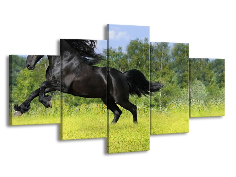 Canvas Schilderij Paard, Dieren | Zwart, Groen | 150x80cm 5Luik